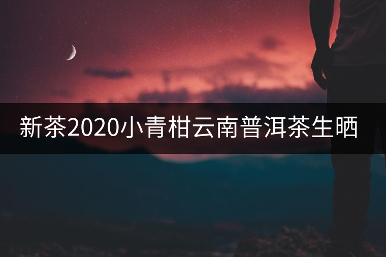 新茶2020小青柑云南普洱茶生曬鮮當(dāng)季正宗新會(huì)糯米香散一罐裝250g 新茶2020小青柑云南普洱茶生曬鮮當(dāng)季正宗新會(huì)糯米香散一罐裝250g