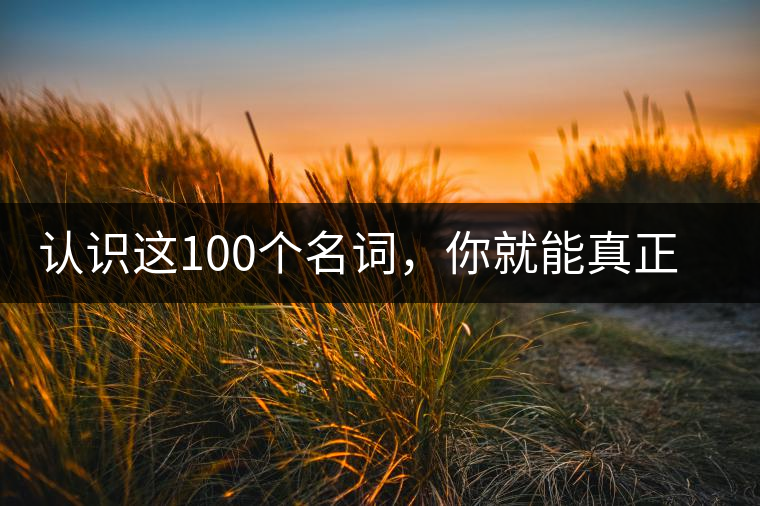 認(rèn)識(shí)這100個(gè)名詞，你就能真正了解普洱茶？