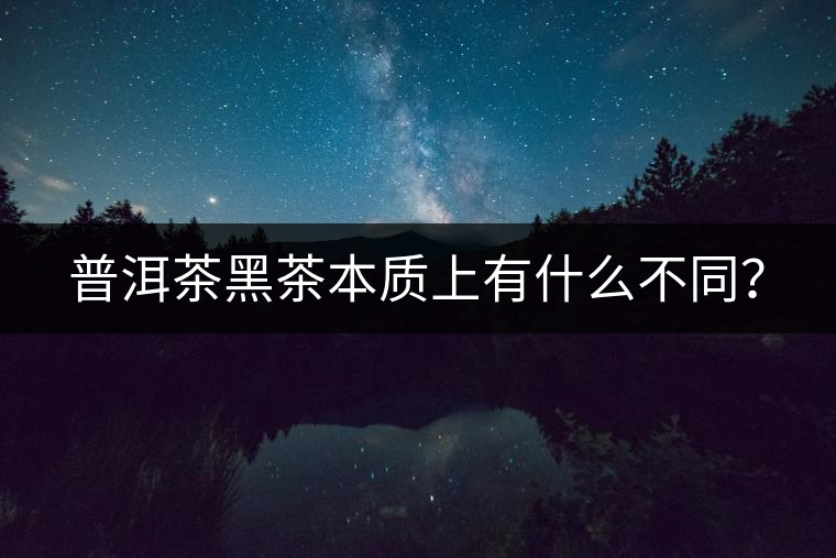 普洱茶黑茶本質上有什么不同？