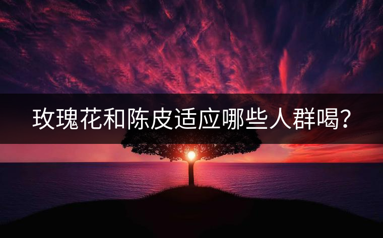 玫瑰花和陳皮適應(yīng)哪些人群喝？