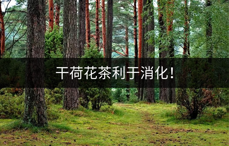 干荷花茶利于消化！