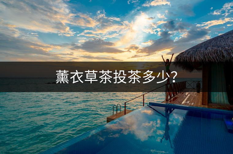 薰衣草茶投茶多少？
