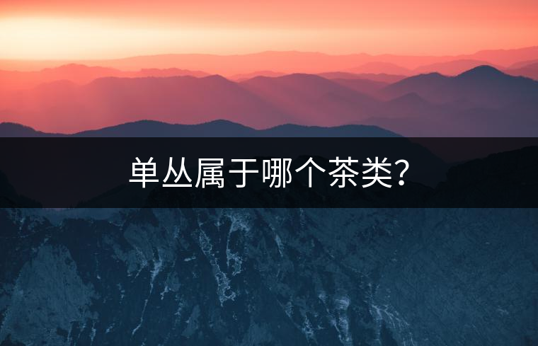 單叢屬于哪個(gè)茶類？