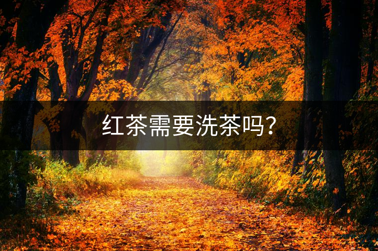 紅茶需要洗茶嗎？
