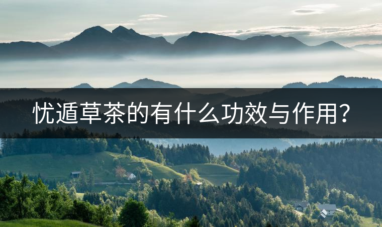 憂遁草茶的有什么功效與作用？