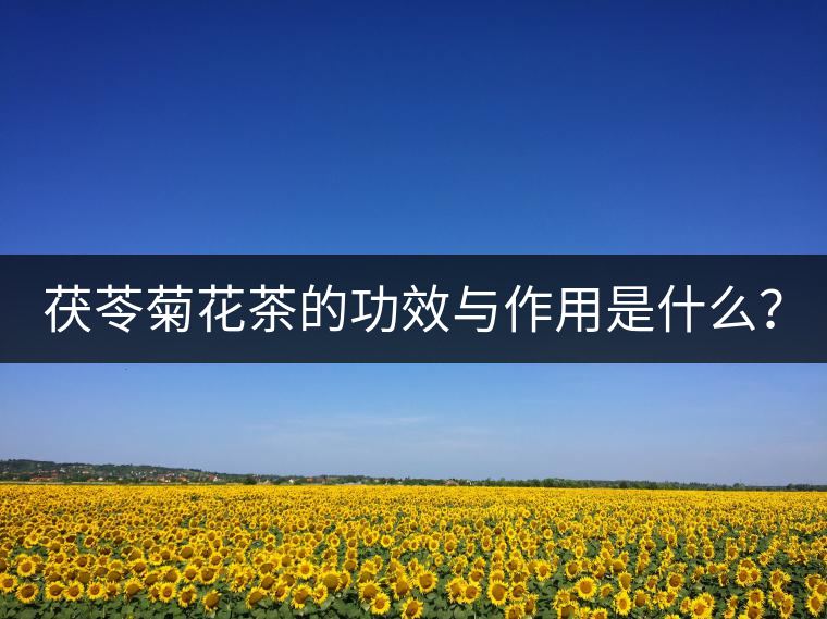 茯苓菊花茶的功效與作用是什么？