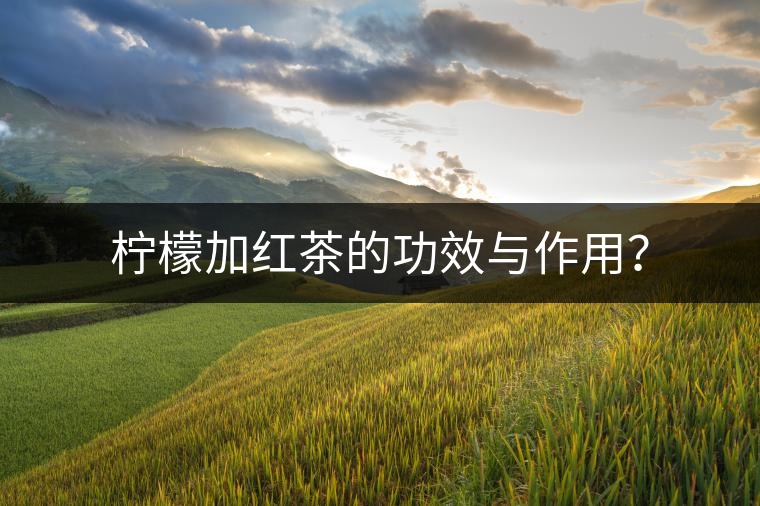 檸檬加紅茶的功效與作用？