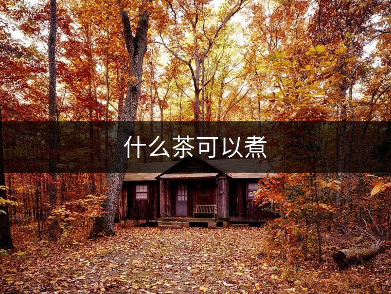 什么茶可以煮 什么茶可以煮