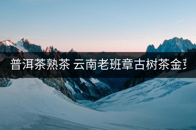 普洱茶熟茶 云南老班章古樹茶金芽特級熟茶357g大餅茶葉 久樽正品