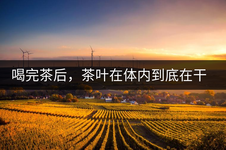 喝完茶后，茶葉在體內(nèi)到底在干嘛，游走的茶水