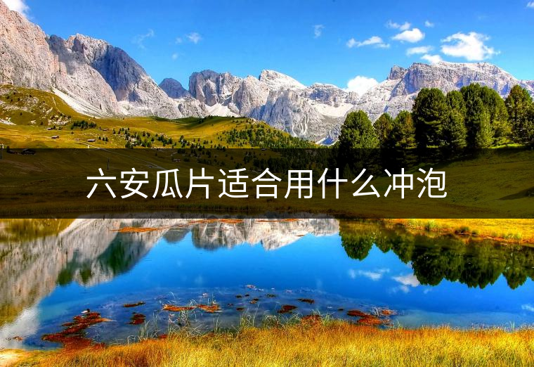 六安瓜片適合用什么沖泡 六安瓜片適合用什么沖泡