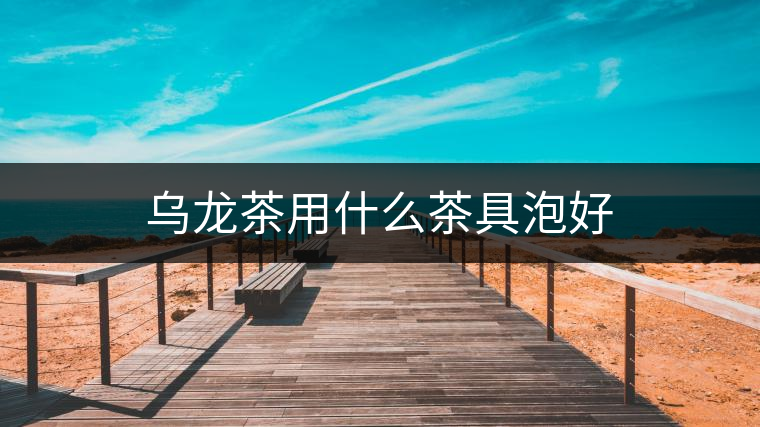 烏龍茶用什么茶具泡好 烏龍茶用什么茶具泡好