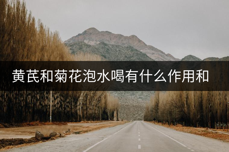 黃芪和菊花泡水喝有什么作用和功效 黃芪和菊花泡水喝有什么作用和功效