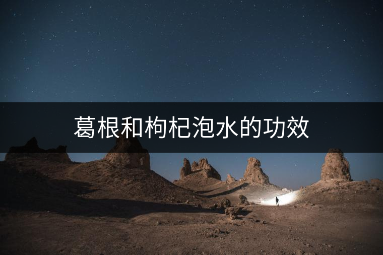 葛根和枸杞泡水的功效