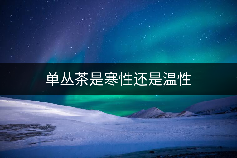 單叢茶是寒性還是溫性 單叢茶是寒性還是溫性