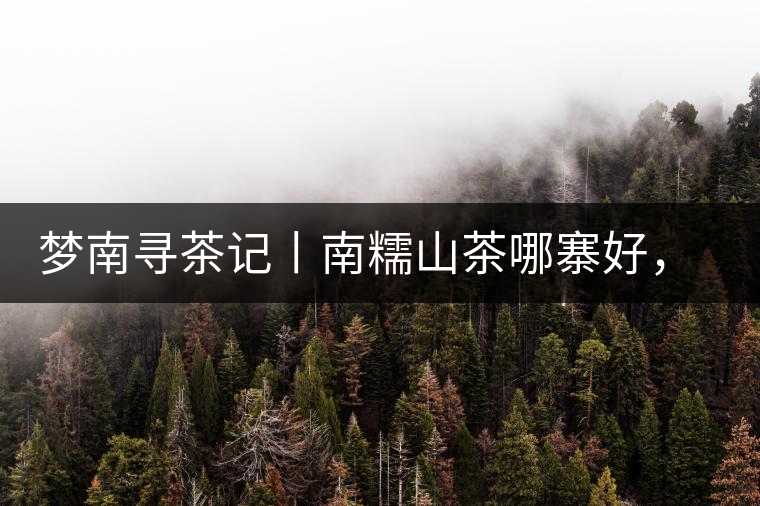 夢(mèng)南尋茶記丨南糯山茶哪寨好，半坡老寨數(shù)第一