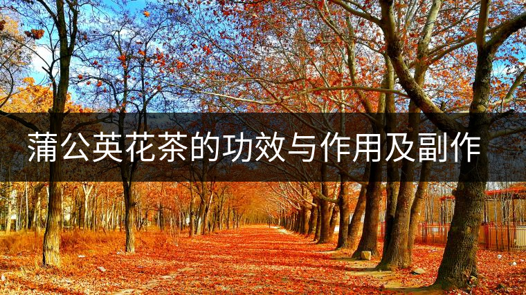 蒲公英花茶的功效與作用及副作用 蒲公英花茶的功效與作用及副作用