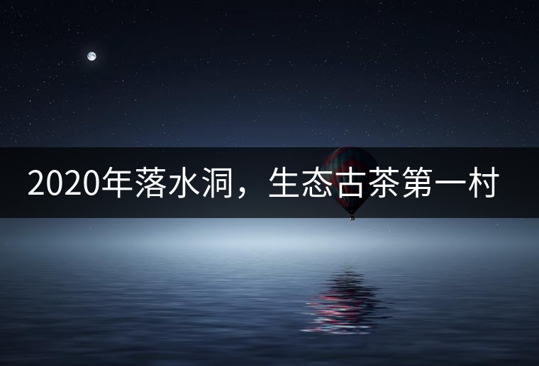 2020年落水洞，生態(tài)古茶第一村-易武中聘號(hào)