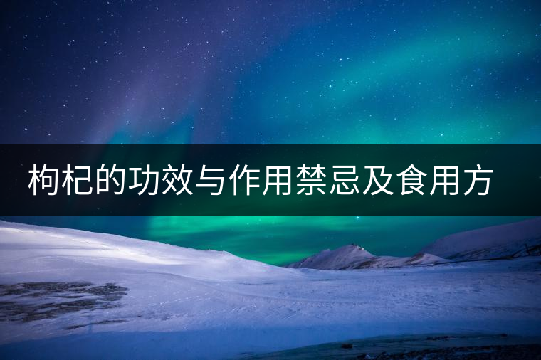 枸杞的功效與作用禁忌及食用方法