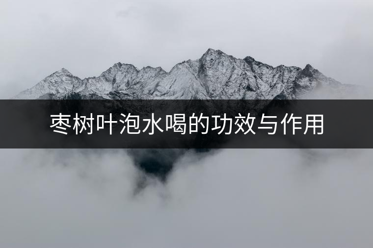 棗樹葉泡水喝的功效與作用 棗樹葉泡水喝的功效與作用