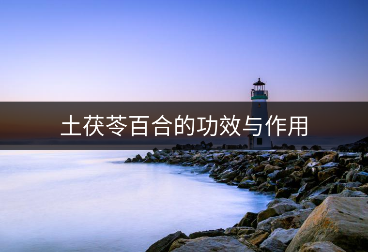 土茯苓百合的功效與作用 土茯苓百合的功效與作用