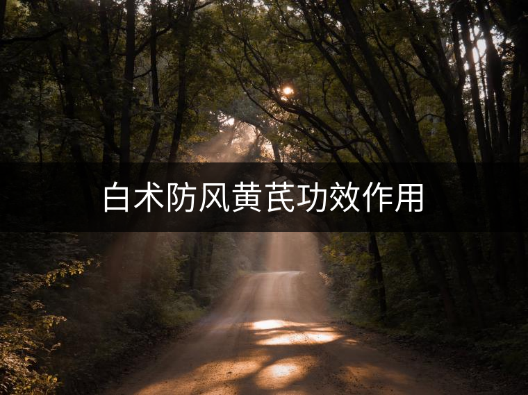 白術(shù)防風(fēng)黃芪功效作用