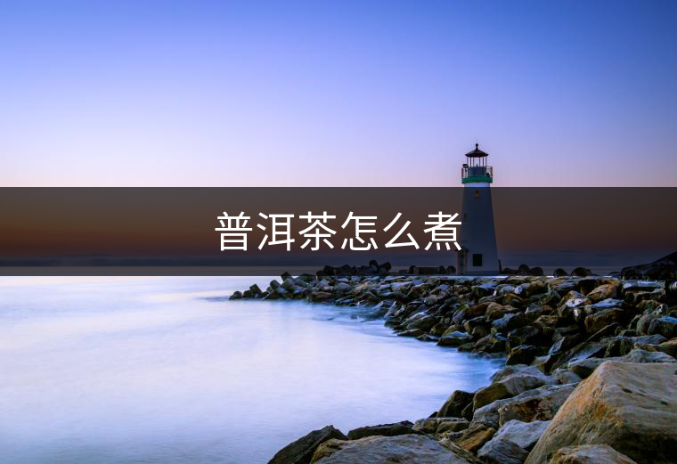 普洱茶怎么煮 普洱茶怎么煮