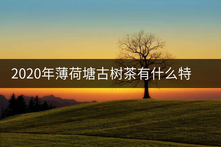 2020年薄荷塘古樹(shù)茶有什么特征？薄荷塘的價(jià)格及產(chǎn)量如何？-易武中聘號(hào)