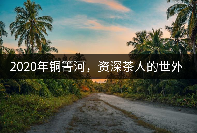 2020年銅箐河，資深茶人的世外桃源-易武-易武中聘號