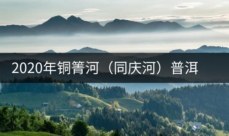 2020年銅箐河（同慶河）普洱茶，野味真難尋！-易武中聘號(hào)