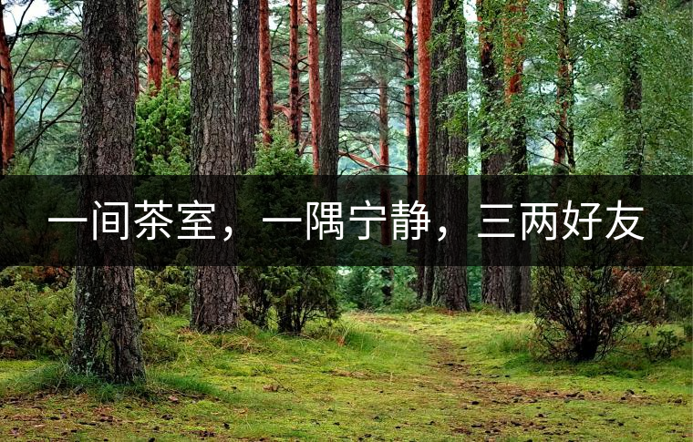 一間茶室，一隅寧靜，三兩好友