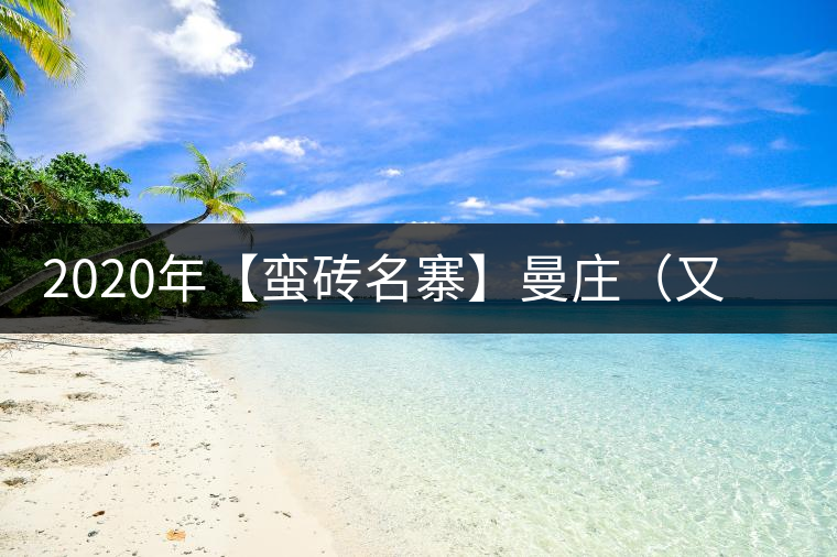 2020年【蠻磚名寨】曼莊（又作：蠻磚、曼磚）-易武中聘號(hào)