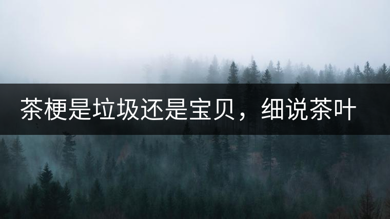 茶梗是垃圾還是寶貝，細說茶葉的那些梗