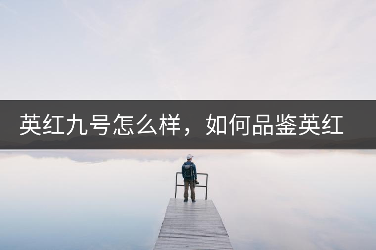 英紅九號怎么樣，如何品鑒英紅九號紅茶