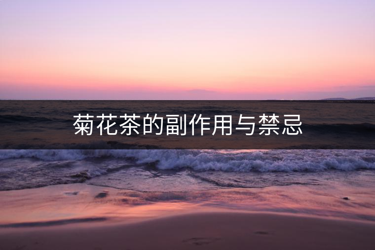 菊花茶的副作用與禁忌 菊花茶的副作用與禁忌
