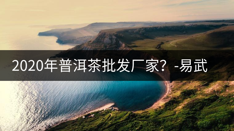 2020年普洱茶批發(fā)廠家？-易武中聘號