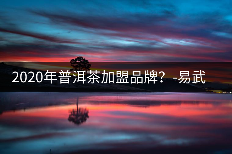 2020年普洱茶加盟品牌？-易武中聘號(hào)