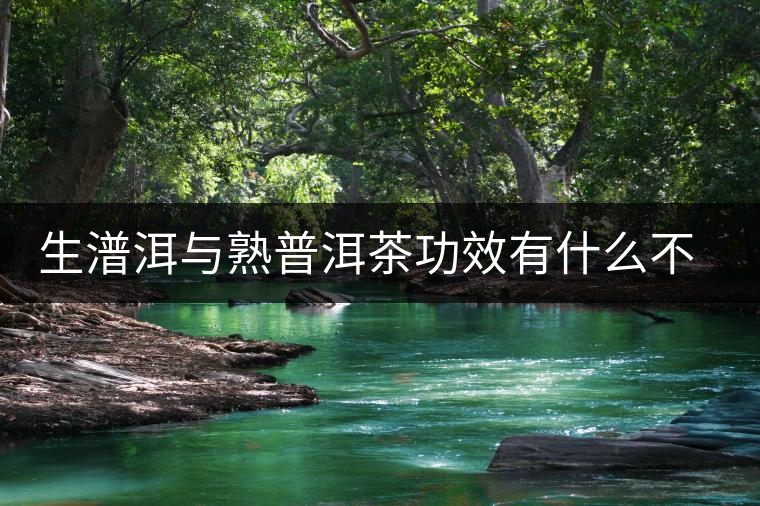 生潽洱與熟普洱茶功效有什么不同 生潽洱與熟普洱茶功效有什么不同