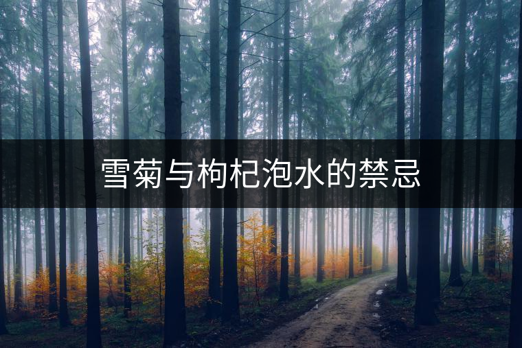 雪菊與枸杞泡水的禁忌