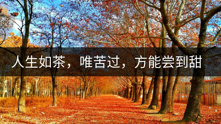 人生如茶，唯苦過，方能嘗到甜滋味