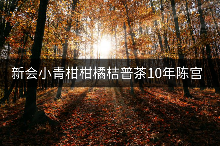 新會(huì)小青柑柑橘桔普茶10年陳宮廷陳皮普洱茶熟茶禮盒裝 皇譽(yù)茶葉 新會(huì)小青柑柑橘桔普茶10年陳宮廷陳皮普洱茶熟茶禮盒裝 皇譽(yù)茶葉