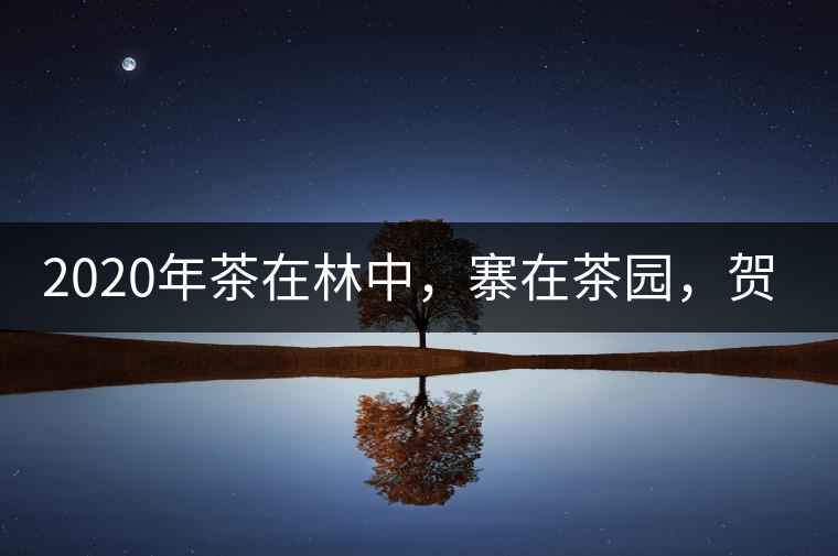 2020年茶在林中，寨在茶園，賀開古樹茶-易武中聘號