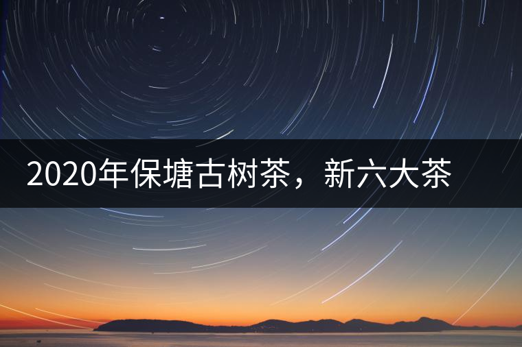 2020年保塘古樹(shù)茶，新六大茶山之勐宋茶佼佼者-易武中聘號(hào)