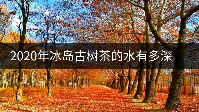 2020年冰島古樹(shù)茶的水有多深？別被蒙在鼓里啦-易武中聘號(hào)