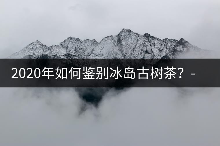 2020年如何鑒別冰島古樹茶？-易武中聘號(hào)