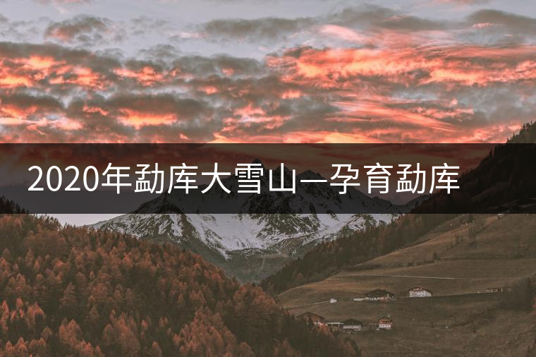 2020年勐庫(kù)大雪山—孕育勐庫(kù)大葉種英豪的搖籃-易武中聘號(hào) 2020年勐庫(kù)大雪山—孕育勐庫(kù)大葉種英豪的搖籃-易武中聘號(hào)