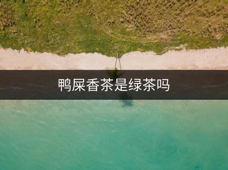 鴨屎香茶是綠茶嗎