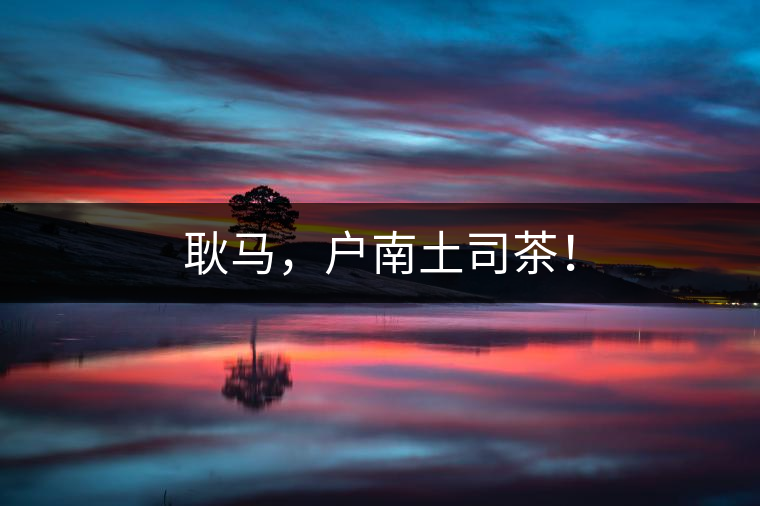 耿馬，戶南土司茶！