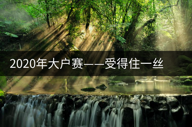 2020年大戶賽——受得住一絲苦，才能盡享一口甜-易武中聘號