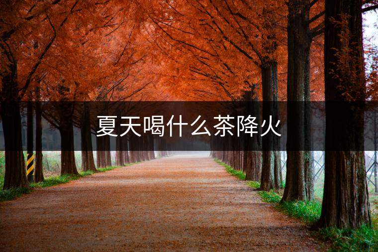 夏天喝什么茶降火 夏天喝什么茶降火